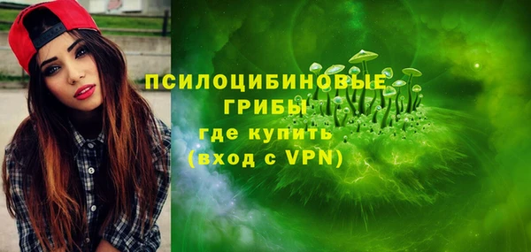 шишки Алзамай