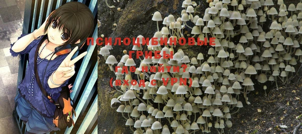 винт Алексеевка