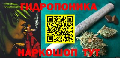 мдпв Кандалакша