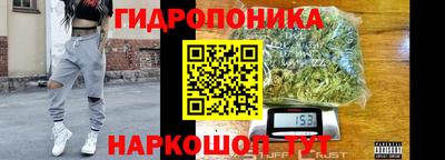 jwh Камышлов