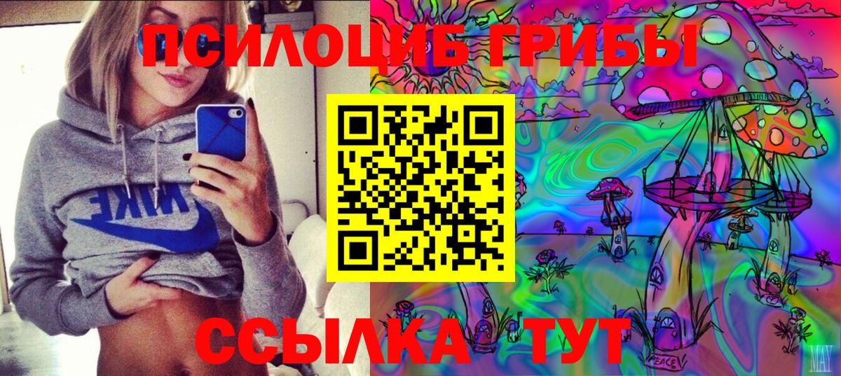 Кулебаки  Псилоцибиновые грибы ЛСД  Вход с VPN 