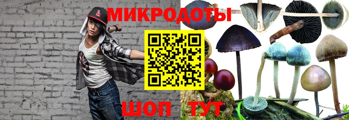Псилоцибиновые грибы Cubensis Кулебаки